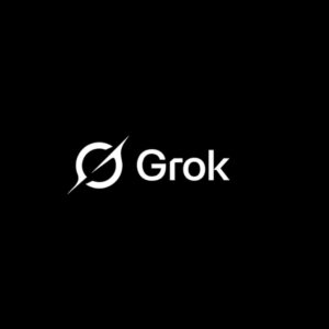 One Year Super Grok Subscription Private Account